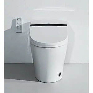Smart toilet