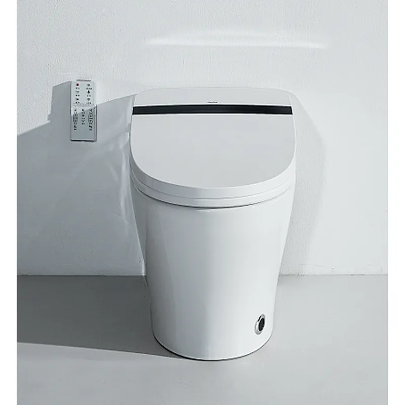 Smart toilet