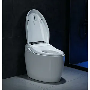 Smart toilet