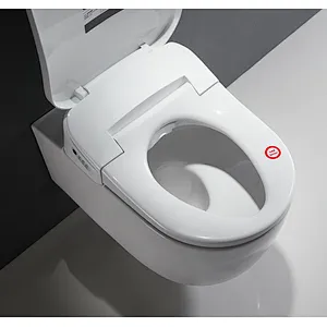 Smart toilet