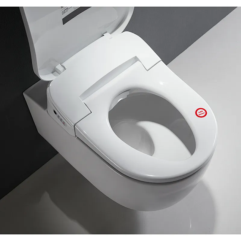 Smart toilet