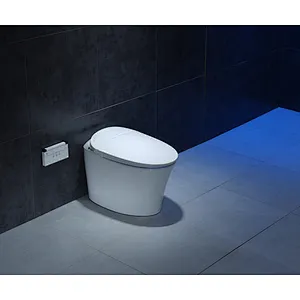 Smart toilet