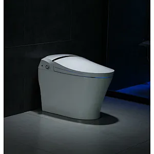 Smart toilet