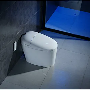 Smart toilet