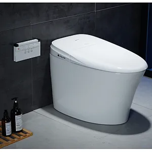 Smart toilet
