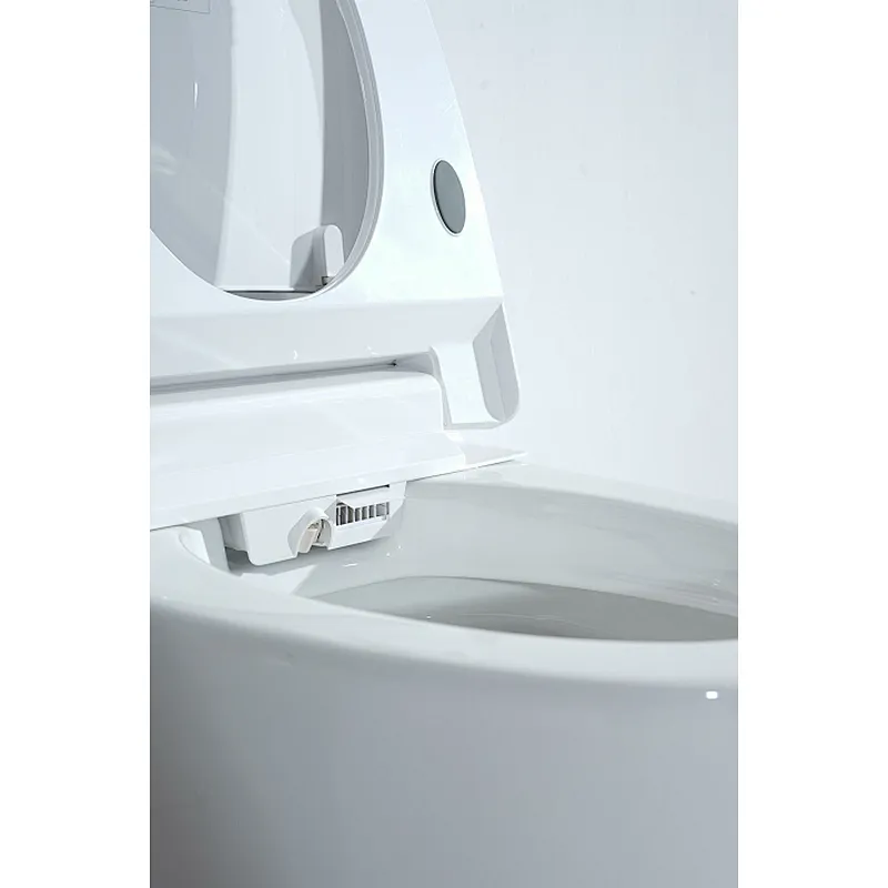Smart toilet