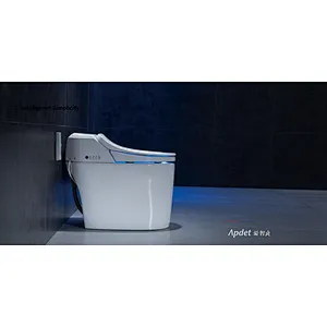 Smart toilet