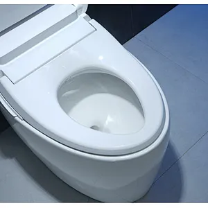 Smart toilet