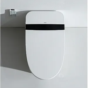 Smart toilet