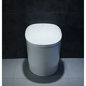 Smart toilet