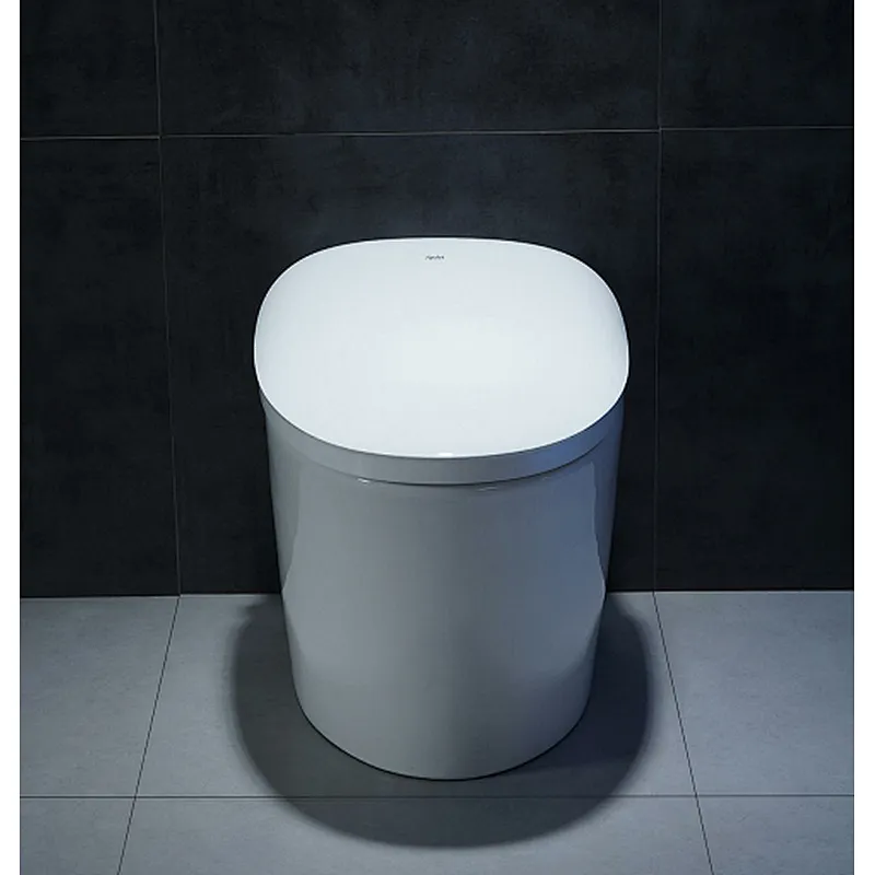 Smart toilet