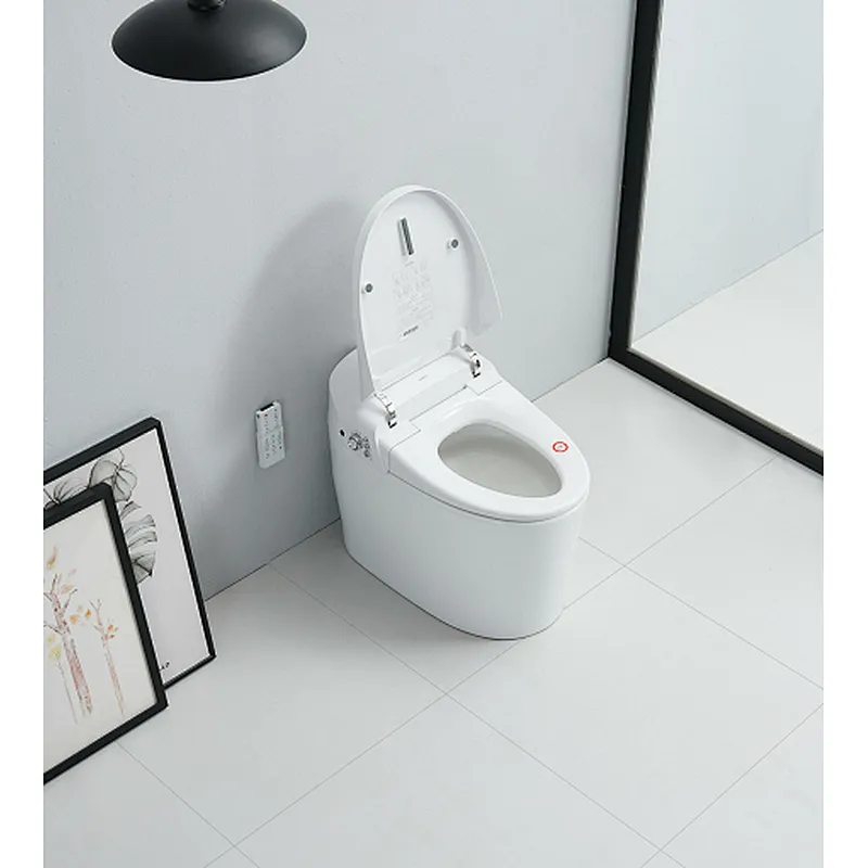 Smart toilet