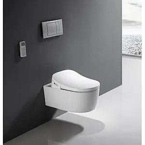 Smart toilet