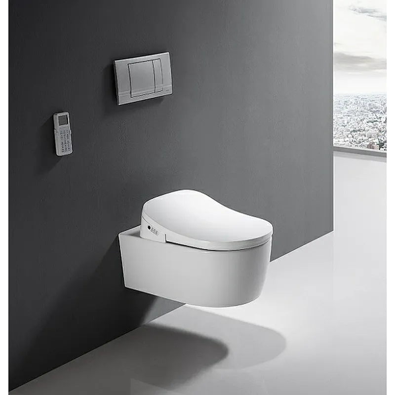 Smart toilet