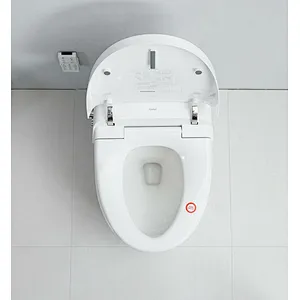 Smart toilet
