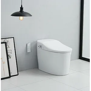 Smart toilet