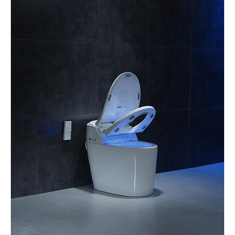 Smart toilet