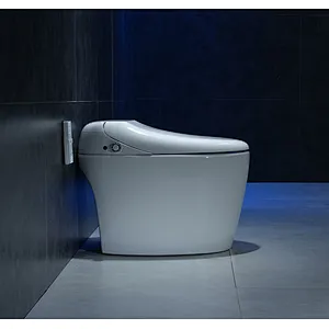 Smart toilet