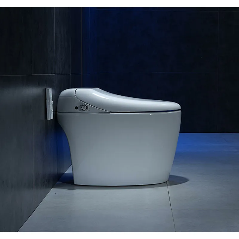 Smart toilet