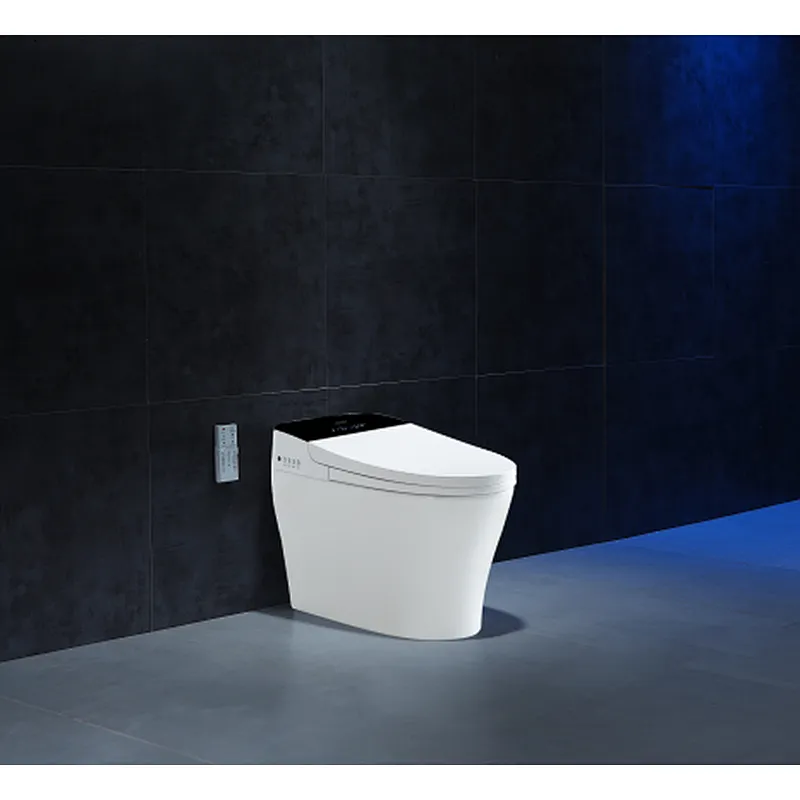 Smart toilet