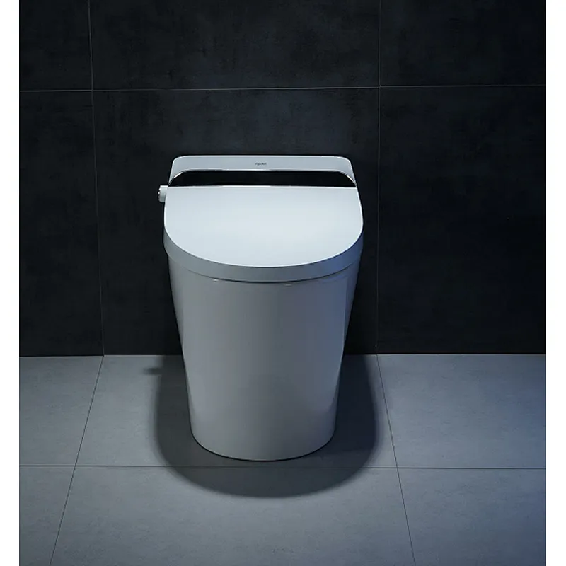 Smart toilet