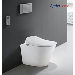 Smart toilet wall hung