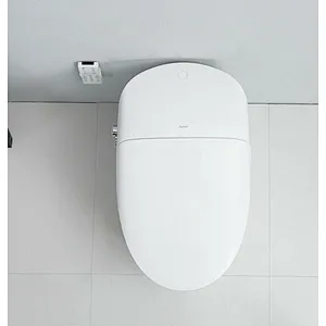 Smart toilet