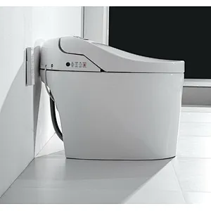 Smart toilet