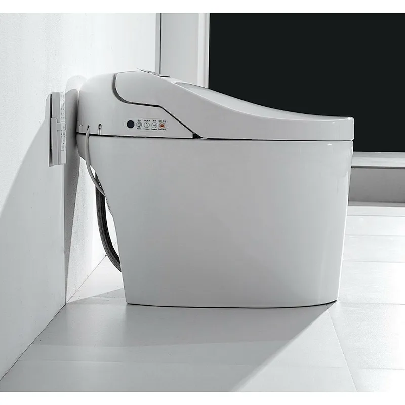 Smart toilet