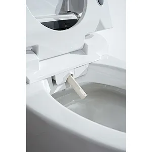 Smart toilet
