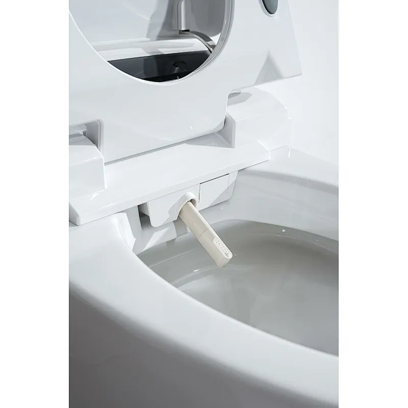 Smart toilet