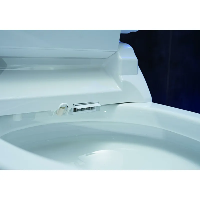 Smart toilet