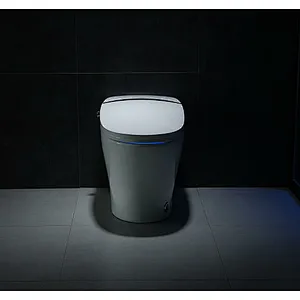 Smart toilet