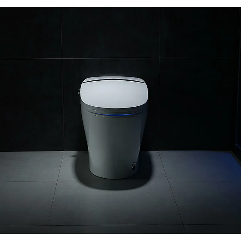Smart toilet