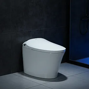 Smart toilet