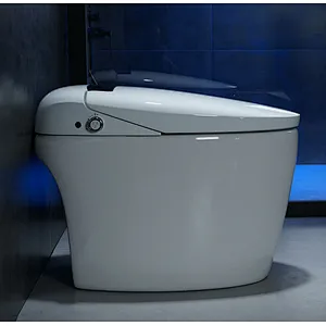Smart toilet