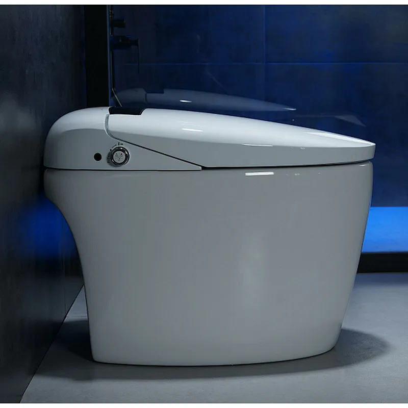 Smart toilet