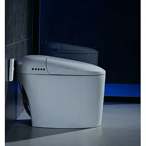 Smart toilet