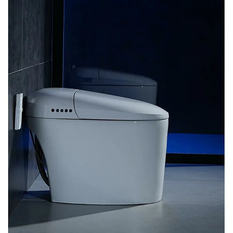 Smart toilet