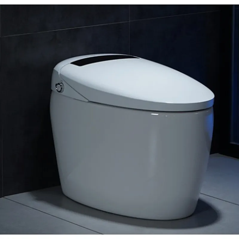 Smart toilet