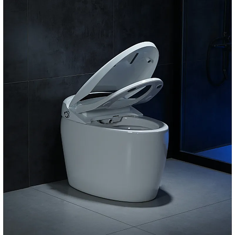 Smart toilet