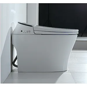 Smart toilet