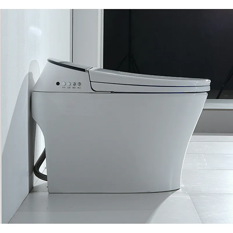 Smart toilet