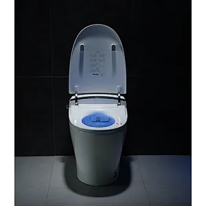 Smart toilet