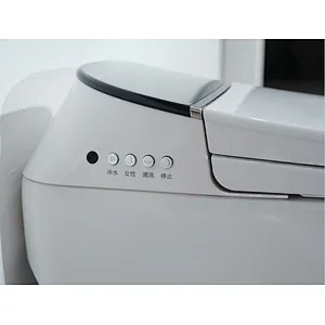 Smart toilet