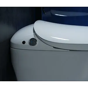 Smart toilet
