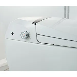 Smart toilet