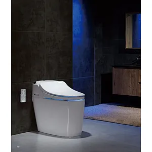 Smart toilet
