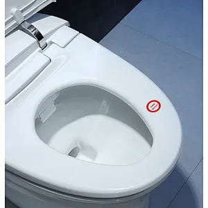 Smart toilet
