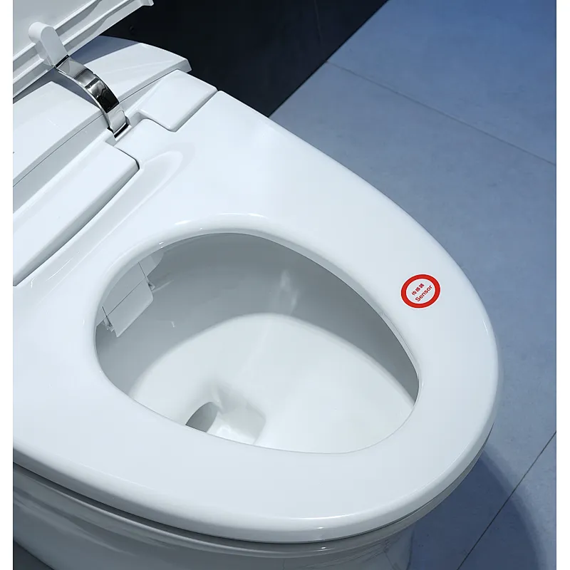 Smart toilet